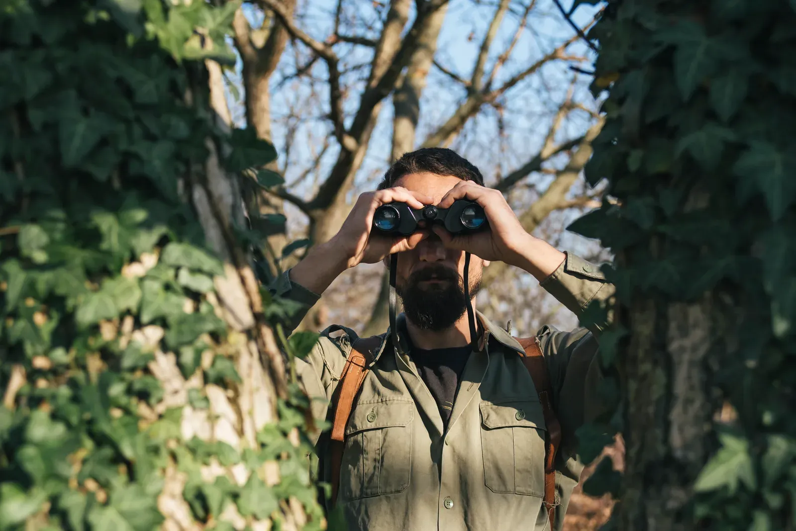 A hunter scanning an autumn forest through binoculars