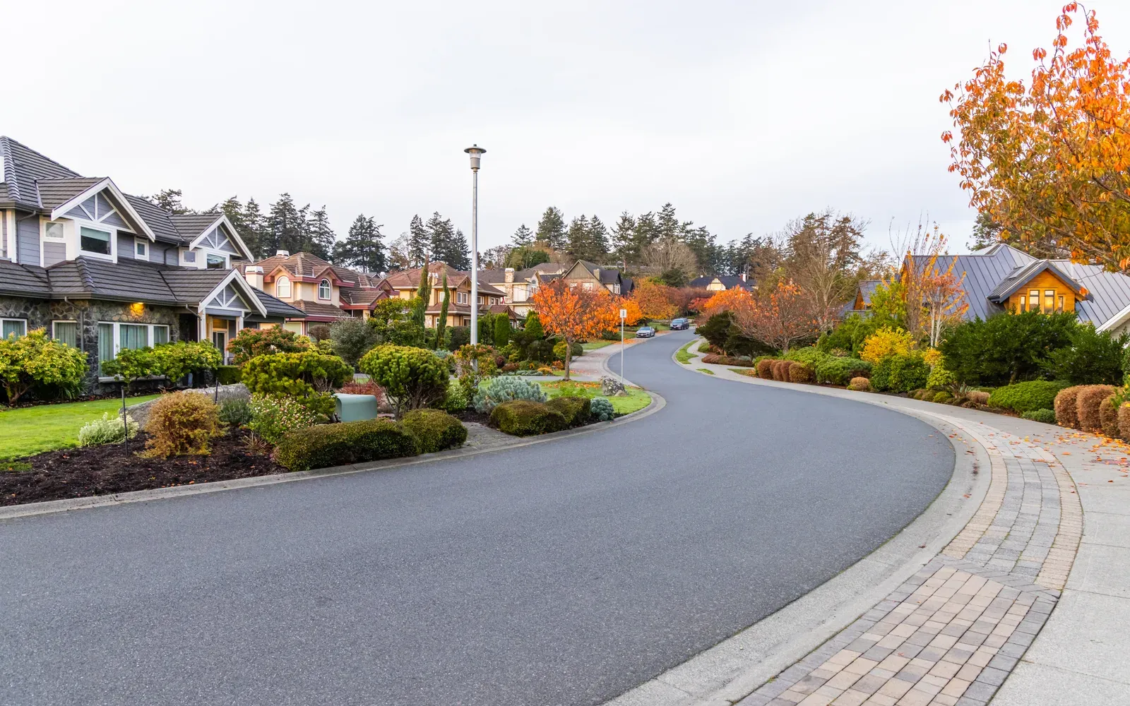 Curving landscaped street with autumn trees in a quiet neighborhood