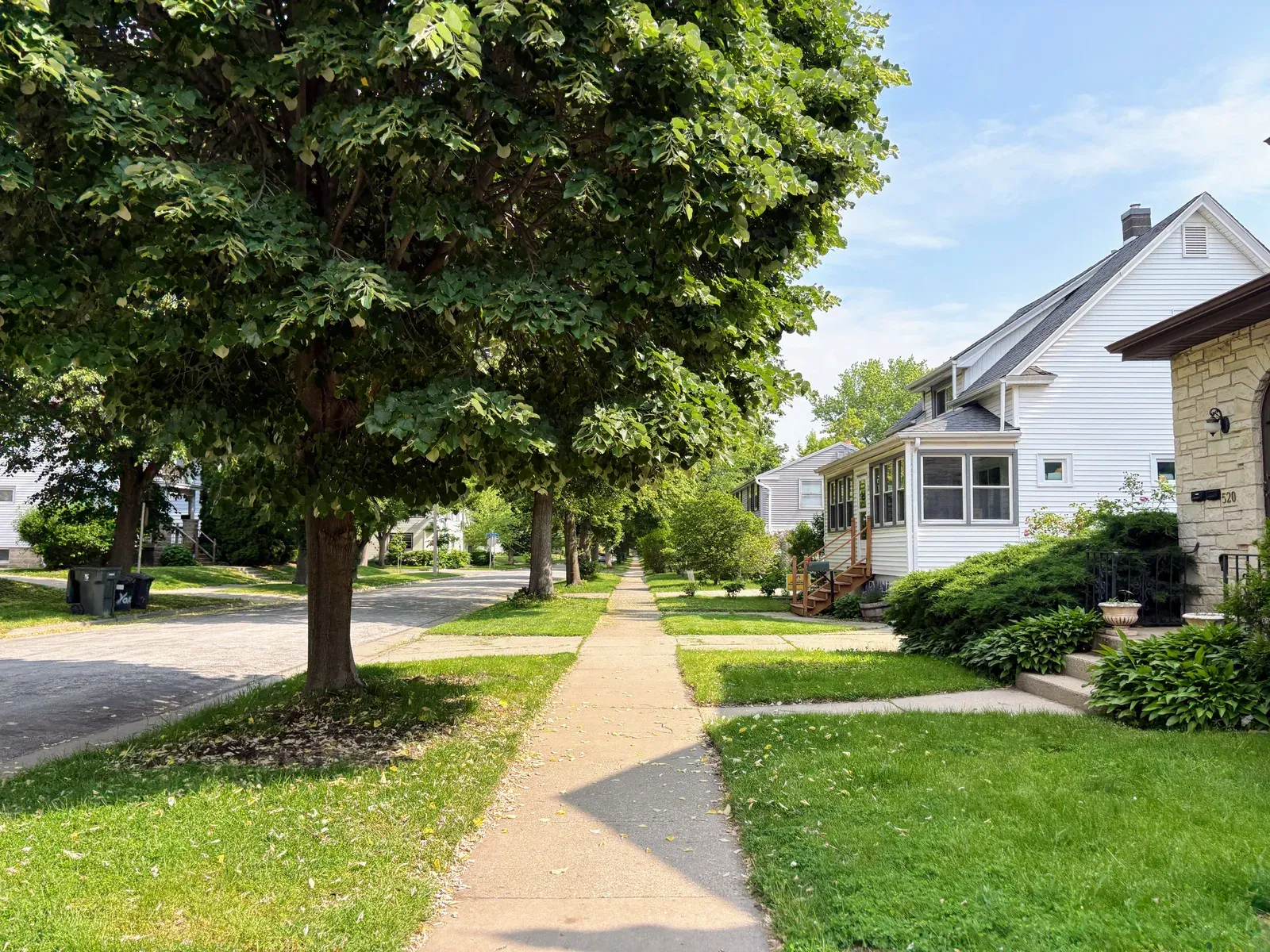 Shaded sidewalk passing front porches beneath mature trees