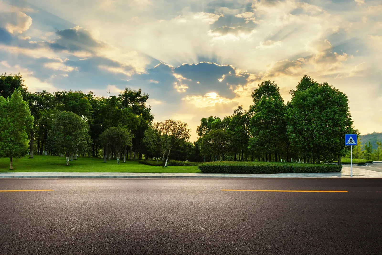 Tree lined parkway at sunrise with sun rays breaking through clouds