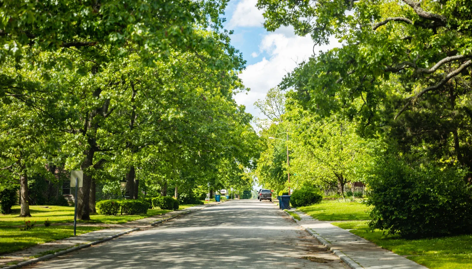 Leafy green street with a sidewalk through an established neighborhood